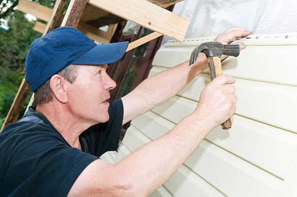 Best Siding for New Construction  in Hector, MN
